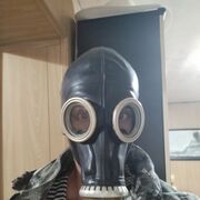 ���������� ���������, ���� ����� ������, 23 ����, ������������ ��� ������, ����� � ���������, c�������� ���������, ���������