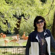 ���������� �����������, ���� ������� ����, 65 ���, ������������ ��� c�������� ���������