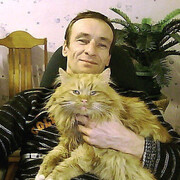 ��� ����