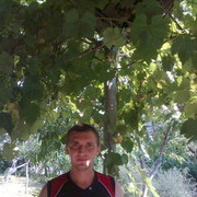  ,   Rashit, 44 ,   