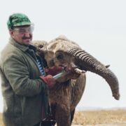 ���������� �����, ���� ������� ������, 32 ����, ������������ ��� ������, ����� � ���������, c�������� ���������, ���������