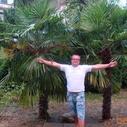 ���������� ����, ���� ������� ������, 45 ���, ������������ ��� ������