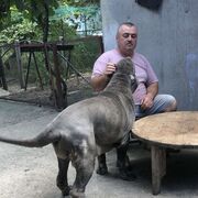 ���������� ������, ���� ������� �����, 60 ���, ������������ ��� ������, ����� � ���������