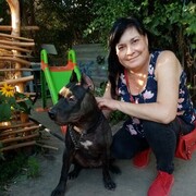  ,   , 52 ,   ,   