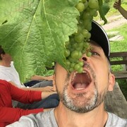 ���������� ������, ���� ������� Stefan, 57 ���, ������������ ��� ������, ����� � ���������, c�������� ���������