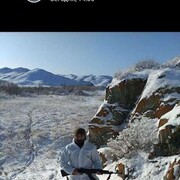 ���������� ���������, ������� �����, 37