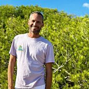 ���������� �����������, ������� �������, 38