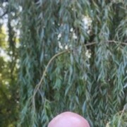  ,   , 63 ,     , c , 