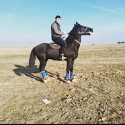 ���������� ������, ���� ������� ���� ����, 32 ����, ������������ ��� ������