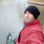  ,   Zeco, 38 ,   ,   , c 
