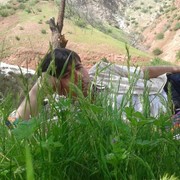  ,   , 39 ,   ,   , c , 