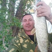 ���������� ��������������, ���� ������� ���������, 53 ����, ������������ ��� ������, ����� � ���������