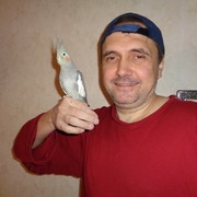  ,   , 52 ,   ,   , c 