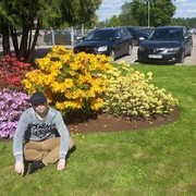 ���������� ����, ���� ������� �������, 41 ���, ������������ ��� ������, ����� � ���������, c�������� ���������