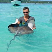 ���������� ����-�����������, ���� ������� ������, 41 ���, ������������ ��� ������, ����� � ���������, c�������� ���������