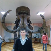 ���������� �����, ���� ������� ������, 38 ���, ������������ ��� ����� � ���������, c�������� ���������