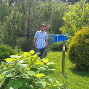 ���������� �����, ���� ������� ����, 50 ���, ������������ ��� ������, ����� � ���������, c�������� ���������