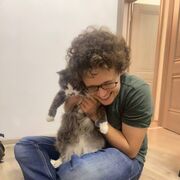  -,   , 31 ,   c 