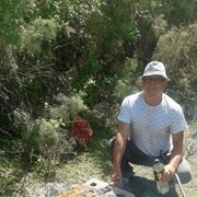  ,   , 62 ,   ,   