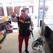  ,   , 54 ,   ,   