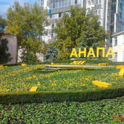 ���������� ������, ���� ������� DAVO, 36 ���, ������������ ��� ������