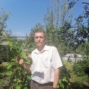   ,   , 51 ,   c 
