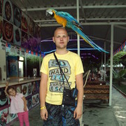 ���������� �����, ���� ������� �������, 37 ���, ������������ ��� ������, ����� � ���������, c�������� ���������