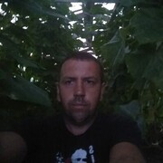 ���������� �������, ���� ������� �������, 44 ����, ������������ ��� ������, ����� � ���������, c�������� ���������