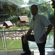  Yavne,  bekk, 49