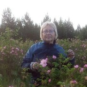 ���������� ���, ���� ������� �����, 61 ���, ������������ ��� c�������� ���������