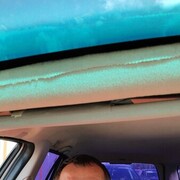 ���������� �����, ���� ������� ˸��, 36 ���, ������������ ��� ������, ����� � ���������