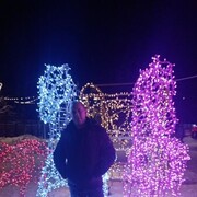 ���������� ������, ���� ������� ����, 41 ���, ������������ ��� ����� � ���������, c�������� ���������, ���������