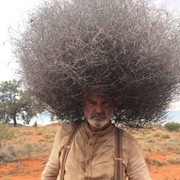 ���������� ���������, ������� ����, 28