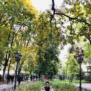 ���������� ������, ���� ������� Yassine, 26 ���, ������������ ��� ������, ����� � ���������