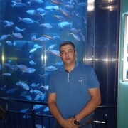  ,   , 38 ,   ,   , c , 