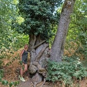  ,   , 61 ,   ,   
