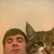 ���������� ������, ���� ������� Zzzz, 39 ���, ������������ ��� ������, ����� � ���������, c�������� ���������