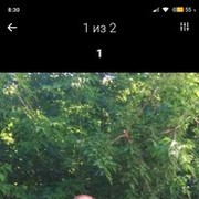 ���������� ����������, ���� ������� �����, 59 ���, ������������ ��� ������, ����� � ���������, c�������� ���������, ���������