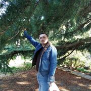 ���������� ����, ���� ������� �����, 44 ����, ������������ ��� ����� � ���������, c�������� ���������