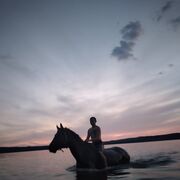 ���������� �����, ���� ������� ����, 34 ����, ������������ ��� ����� � ���������, c�������� ���������