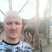 ���������� �����, ���� ������� ������, 45 ���, ������������ ��� ������, ����� � ���������