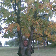  ,   Stefan, 61 ,   