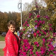  ,   , 51 ,     , c 