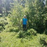  Boiensdorf,    , 65 ,   ,   