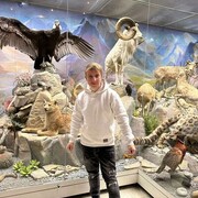 ���������� ������, ���� ������� ����, 40 ���, ������������ ��� c�������� ���������