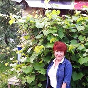  ,   , 63 ,   ,   , c 