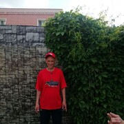 ,   , 51 ,   ,   