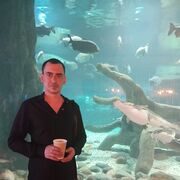 ���������� ��������, ������� ����, 33