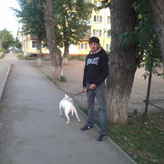 ���������� ���������, ���� ������� �������, 40 ���, ������������ ��� ������, ����� � ���������, c�������� ���������, ���������