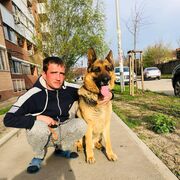 ���������� ���������, ���� ������� ����, 38 ���, ������������ ��� ���������